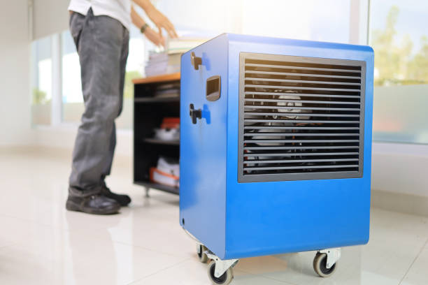 Environmental Consulting for Mold Prevention in West Brownsville, PA